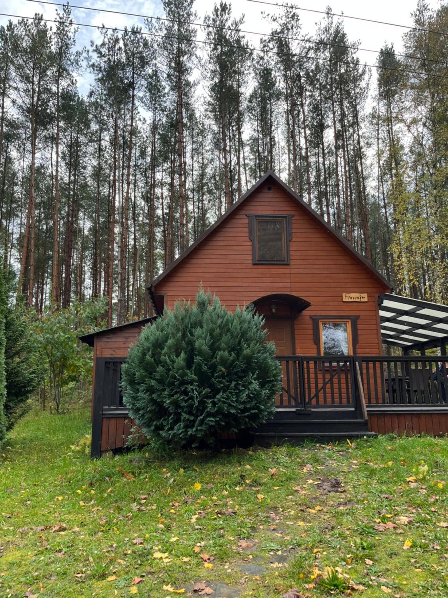 Domek Caloroczny Hawaje Nad Jeziorem Kazub Cieciorka Exteriör bild